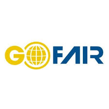 Data Science through GO FAIR in Africa: A new generation internet of  Data and Services.